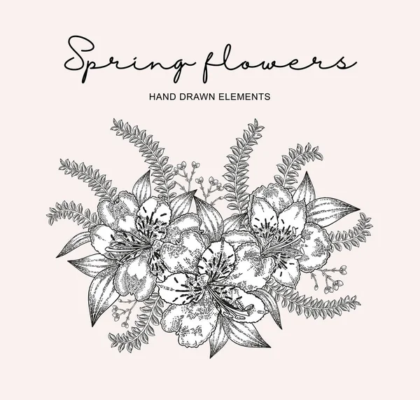 Composición Flores Primavera Alstroemeria Dibujada Mano Flores Hojas Ilustración Botánica — Archivo Imágenes Vectoriales