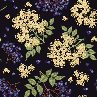 Mürver ve elderflower seamless modeli. Elle çizilmiş sambucus çiçek, yaprak ve meyveleri. Vektör çizim vintage.
