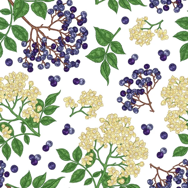 Holunder Und Holunder Nahtlose Muster Handgezeichnete Sambukusblüten Blätter Und Beeren — Stockvektor