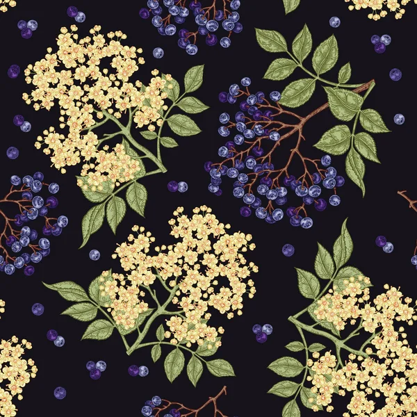 Mürver ve elderflower seamless modeli. Elle çizilmiş sambucus çiçek, yaprak ve meyveleri. Vektör çizim vintage.