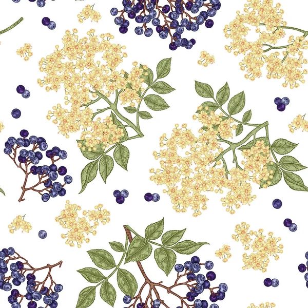 Mürver ve elderflower seamless modeli. Elle çizilmiş sambucus çiçek, yaprak ve meyveleri. Vektör çizim vintage.