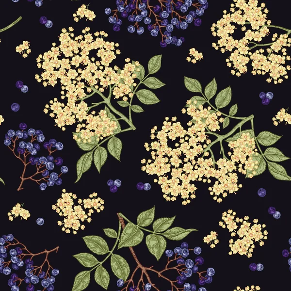 Mürver ve elderflower seamless modeli. Elle çizilmiş sambucus çiçek, yaprak ve meyveleri. Vektör çizim vintage.