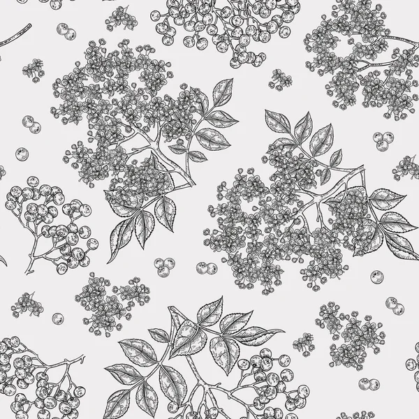 Vlierbes en vlierbloesem naadloze patroon. Hand getrokken sambucus bloemen, bladeren en bessen. Vector illustratie vintage. — Stockvector