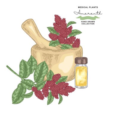 Solmayan çiçek çiçek ve yaprakları. Tıbbi bitkiler ayarlayın. Vektör çizim elle çizilmiş.