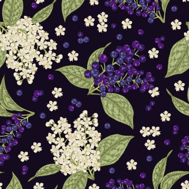 Kuş kiraz çiçekleri ve meyveleri seamless modeli. Elle çizilmiş kuş-kiraz yaz ağaç. Vektör çizim.