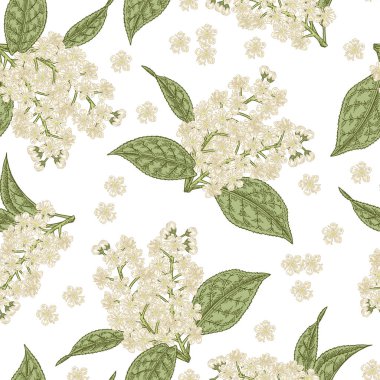 Kuş kiraz çiçekleri seamless modeli. Elle çizilmiş kuş-kiraz çiçeği. Vektör çizim.