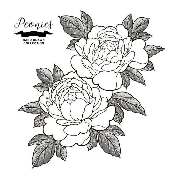 Peony flowers composition in japanese tattoo style. Hand drawn flowers isolated on white background. Floral elements vector illustration. — Stock Vector