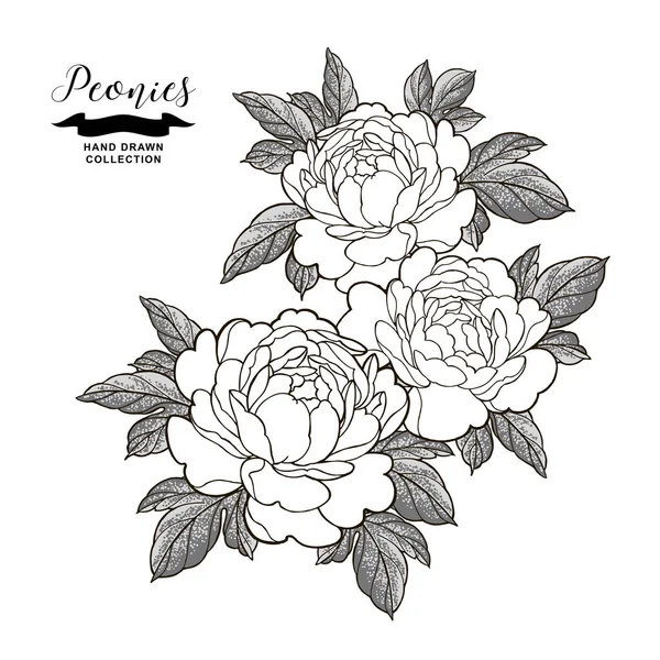 Peony flowers composition in japanese tattoo style. Hand drawn flowers isolated on white background. Floral elements vector illustration. — Stock Vector