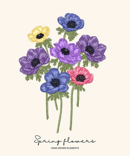 Рука намальована весняними квітами. Сині та фіолетові анемони букет Векторні ілюстрації. Вінтажний ботанічний стиль . — стоковий вектор