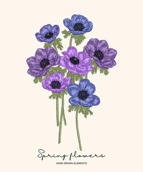 Ręcznie rysowane kwiaty wiosna. Niebieski i fioletowy Anemones bukiet ilustracji wektorowych. Styl Vintage botaniczny. — Wektor stockowy