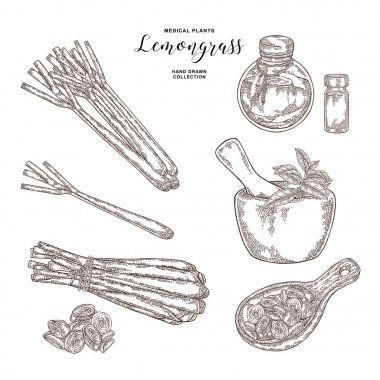 Lemongrass bitki seti. El çizilmiş limon demet, nane yaprakları, ahşap kaşık ve uçucu yağ cam şişeler. Vektör illüstrasyon vintage.