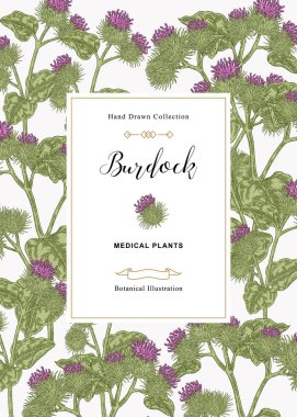 Burdock çiçek ve el çizilmiş bırakır. Vintage arka plan. Tıbbi bitki. Vektör çizimi.
