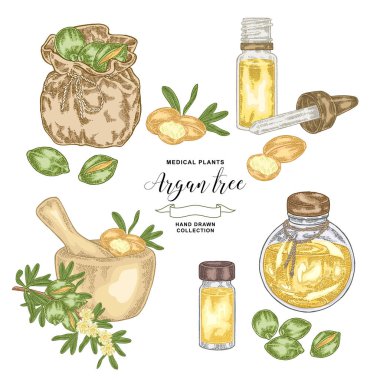 Argan ağacı, argania spinosa seti. Fındık, yaprak, ahşap kase, cam şişe ve çanta. Tıbbi bitki. Vektör illüstrasyon el çizilmiş.