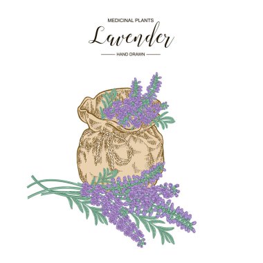 Rustik çanta ile lavanta çiçekleri. Tıbbi bitkiler el çizilmiş. Vektör botanik illüstrasyon.