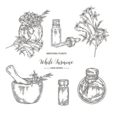 Beyaz yasemin seti. Jasminum officinale çiçek ve tekstil çantası, harç ve cam botlles ile yaprakları. Tıbbi bitkiler el çizilmiş. Vektör illüstrasyon oyulmuş.