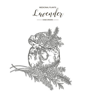 Lavanta bitkisi. Çiçekler ve rustik çanta ile lavanta yaprakları. Tıbbi otlar el çizilmiş. Vektör botanik illüstrasyon. Gravür stili