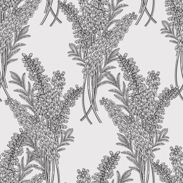Lavendel bloemen naadloze patroon. Zwart-wit afbeelding. Vector illustratie Vintage. — Stockvector