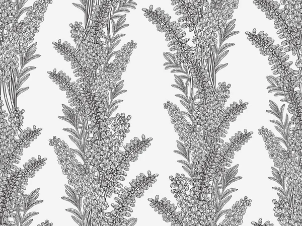 Lavendel bloemen naadloze patroon. Zwart-wit. Vector illustratie Vintage. — Stockvector