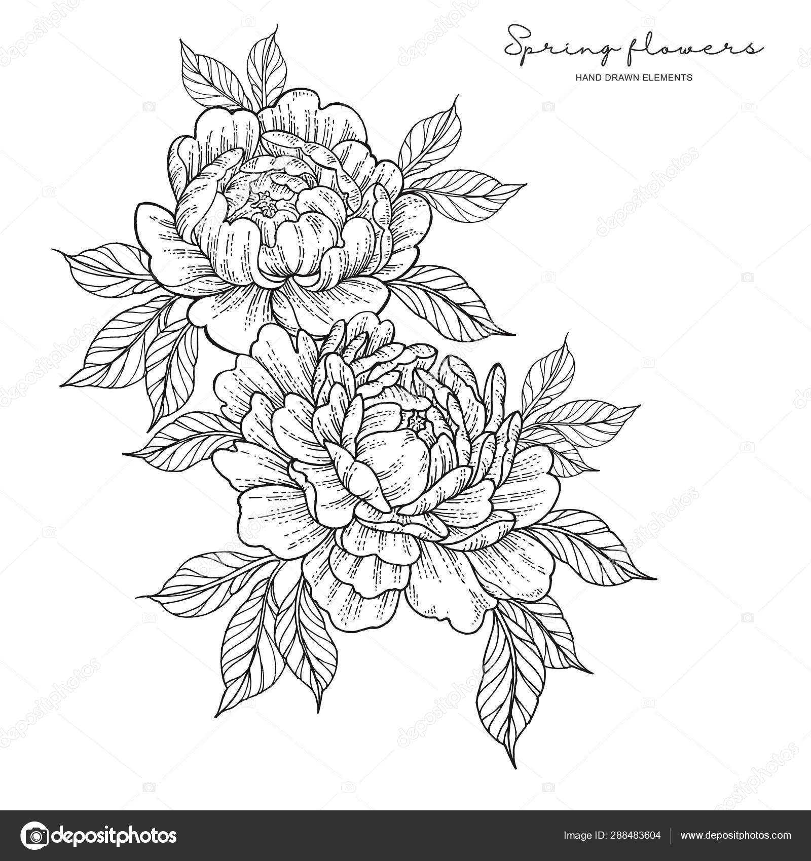 Large Black and Grey Peony Flowermoon Temporary Tattoo Set  Etsy