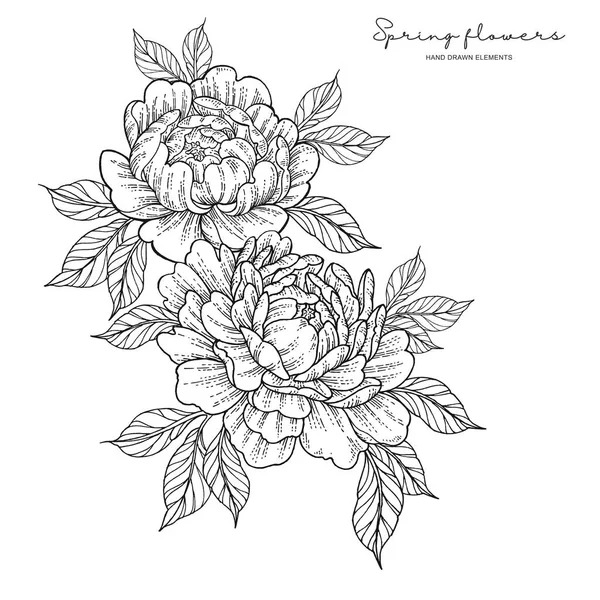 Peony flowers in japanese tattoo style. Hand drawn inked flowers. Black and white floral elements. Vector illustration. — Stock Vector