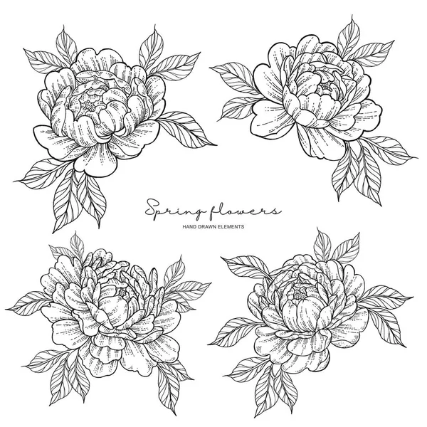 Peony flowers in japanese tattoo style. Hand drawn inked flowers. Neo traditional floral elements. Vector illustration. — Stock Vector