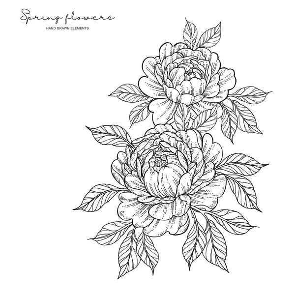 Квіти півонії в японському стилі татуювання. Рука намальована чорнильними квітами. Чорно-білі квіткові елементи. Векторні ілюстрації . — стоковий вектор