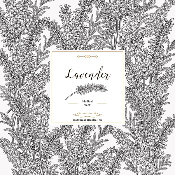 ラベンダーの背景。黒と白のラベンダーの葉と花。医療および化粧品のハーブ。ベクトルイラストボタニカル. — ストックベクタ