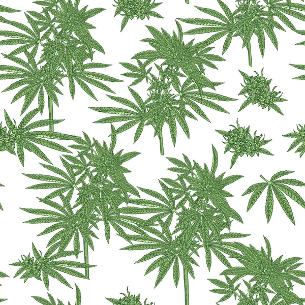 大麻シームレスなパッテン。マリファナパンツの手描き。手描きの医療植物。ベクトル植物図. — ストックベクタ