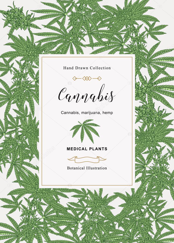 Cannabis background. Marijuana pant hand drawn. Medical plants hand drawn. Vector botanical illustration.