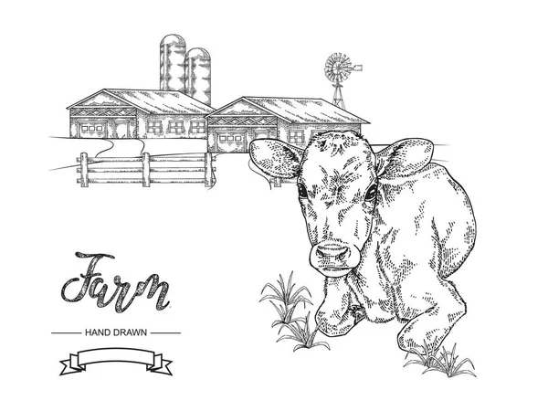 Mucca disegnata a mano sdraiata sull'erba. Vitello, toro, illustrazione vettoriale del bestiame. Paesaggio rurale con case coloniche. Raccolta di animali da fattoria. Grafica in bianco e nero . — Vettoriale Stock
