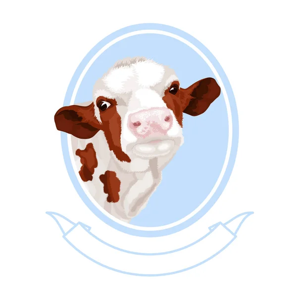 Hand getekende kleurrijke koe hoofd. Kalf, stier, vee vector illustratie. Boerderij dieren collectie. Ontwerp voor zuivel. — Stockvector