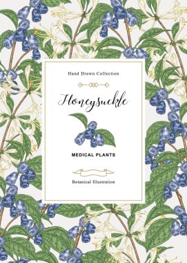 Hanımeli bitkisi ile çiçek kartı. El çizilmiş çiçekler ve çilek ve hanımeli yaprakları. Vektör illüstrasyon botanik. 