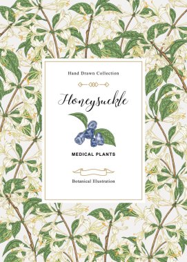 Hanımeli bitkisi ile çiçek kartı. El çizilmiş çiçekler, çilek ve lonicera japonica yaprakları. Vektör illüstrasyon botanik. 