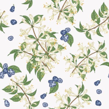 Renkli hanımeli çiçekler ve çilek sorunsuz desen. Lonicera japonica. Vektör illüstrasyon. Tekstil ve ambalaj tasarımı. 