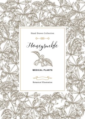 Hanımeli bitkisi ile çiçek kartı. El çizilmiş çiçekler, çilek ve lonicera japonica yaprakları. Vektör illüstrasyon botanik. 