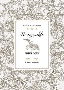 Hanımeli bitkisi ile çiçek kartı. El çizilmiş çiçekler ve çilek ve hanımeli yaprakları. Vektör illüstrasyon botanik. 