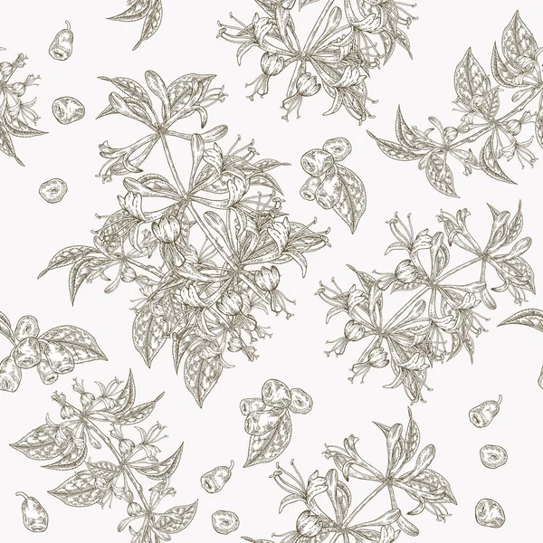 Hanımeli çiçekler ve çilek sorunsuz desen. Lonicera japonica. Vektör illüstrasyon. Tekstil ve ambalaj için tasarım. Gravür stili. — Stok Vektör