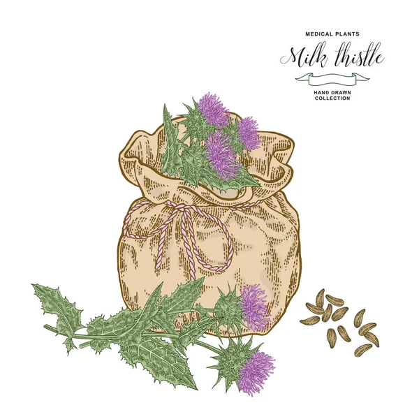 Mjölktistel växt hand dras. Thistle blommor och frön med textilpåse. Insamling av läkemedel. Vektorillustration botanisk. — Stock vektor