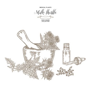 Süt devedikeni elle çizilmiş. Tahta havan ve cam şişe og yağlı devedikeni çiçekleri. Tıbbi gerbanlar. Oymalı vektör illüstrasyonu.