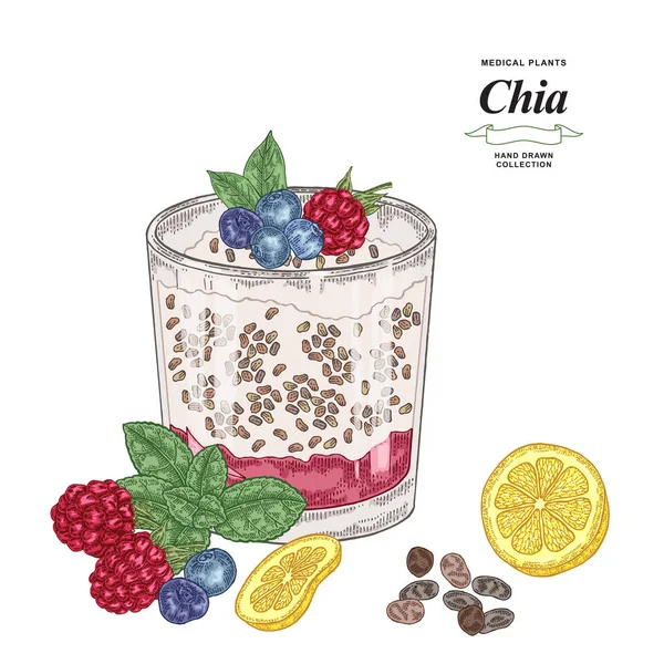 Cocktail Chia desenhado à mão. Sementes de chia coloridas, framboesa, fatia de limão, hortelã fresca e mirtilo isolado no fundo branco. Coleta de alimentos saudáveis. Ilustração vetorial . — Vetor de Stock