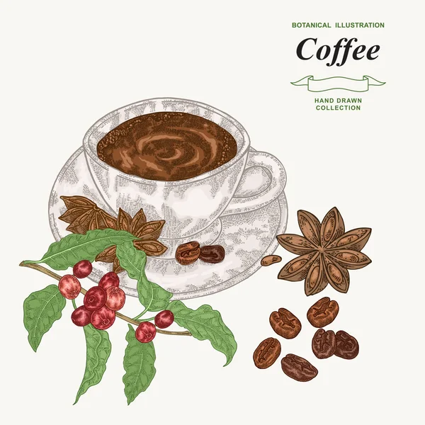 Taza de café negro con granos, rama de café y anís estrellado. Ilustración vectorial vintage. Estilo de grabado colorido . — Archivo Imágenes Vectoriales