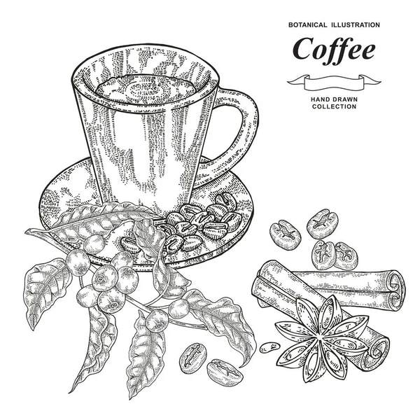 Taza de café dibujada a mano con rama de café, granos, canela y estrella de anís. Ilustración vectorial vintage. Estilo grabado en blanco y negro . — Archivo Imágenes Vectoriales