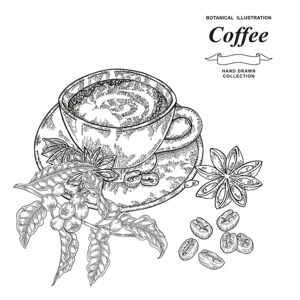 Xícara de café preto com grãos, ramo de café e anis estrela. Vector ilustração vintage. Estilo gravura preto e branco . —  Vetores de Stock