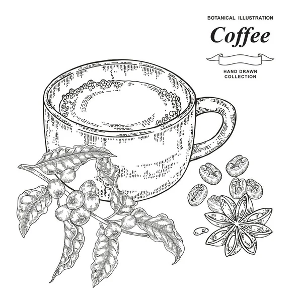 Una taza de café con granos y anís estrellado. Rama de café dibujada a mano con hojas y bayas maduras. Ilustración vectorial. Estilo grabado en blanco y negro . — Archivo Imágenes Vectoriales