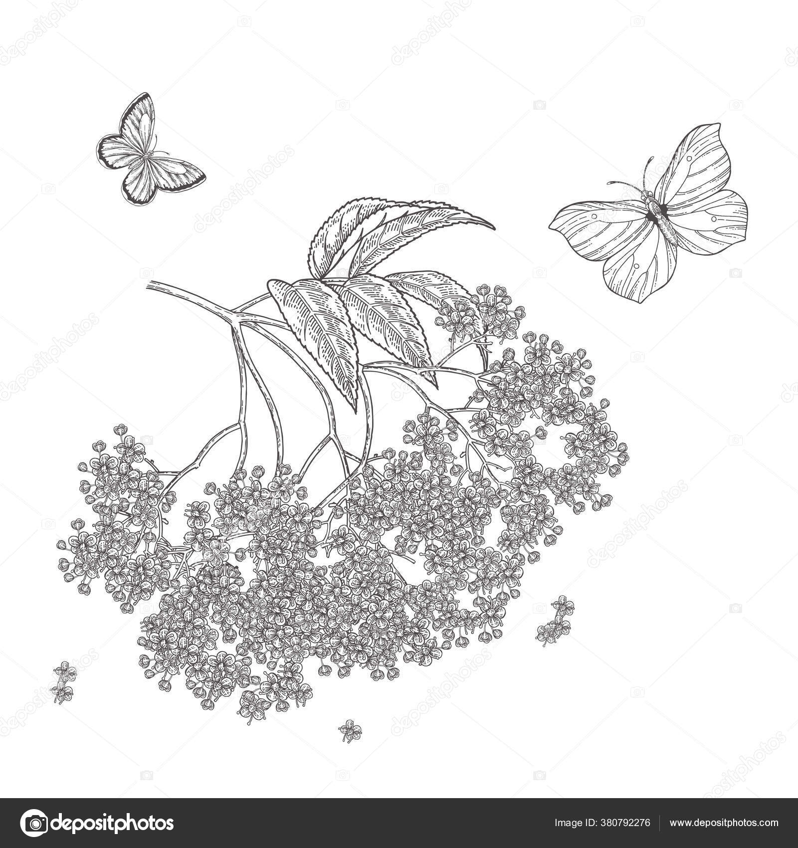 Jka Portfolio Stock Photos Vectors Video Audio Depositphotos Jka Portfolio Stock Photos Vectors Video Audio Depositphotos