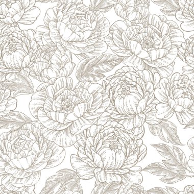 Şakayıksız desen. Beyaz arka planda güzel şakayıklar çizdim. Vektör illüstrasyonu.