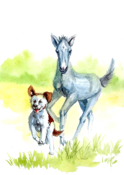 Illustration Young Horse Dog Running Together Watercolor — Stock Photo, Image