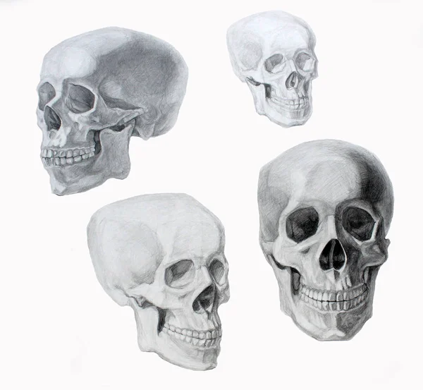 Illustrazione grafica del cranio — Foto Stock