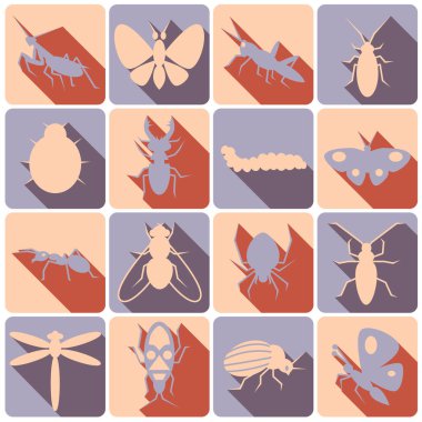 Gölgeli renkli böcekler dizisi