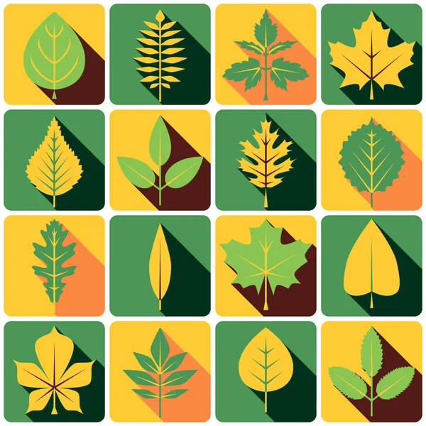 Set Colored Icons Tree Leaves Different Types Autumn Summer Shadows — Stock Vector